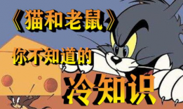 汤姆 视频,揭秘日常生活小技巧，轻松提升生活品质